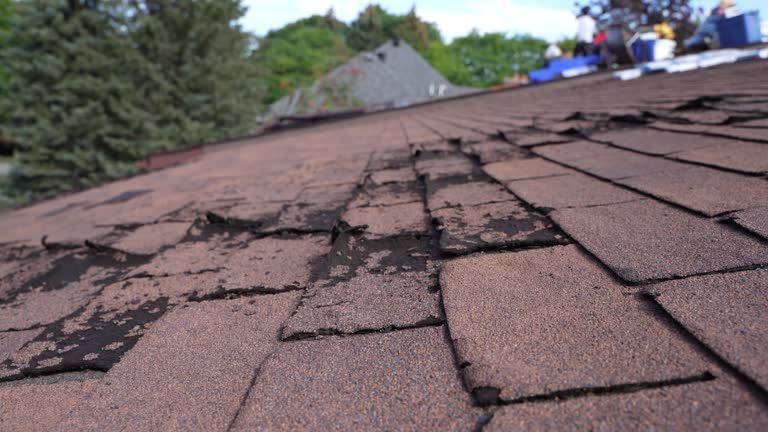 Asphalt Shingles Roofing in Orange City, FL